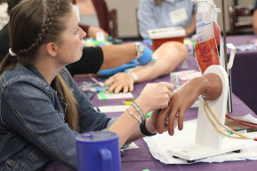 practicing phlebotomy